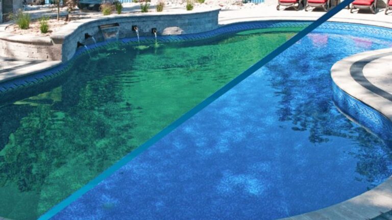 how to get rid of pool algae